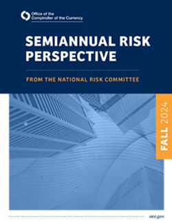 Semiannual Risk Perspective, Fall 2024